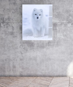 Fluffy Fox Wall Art Covered By Epoxy-OriesWood