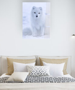 Fluffy Fox Wall Art Covered By Epoxy-OriesWood