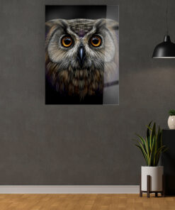 Long Eared Owl Wall Art Covered By Epoxy-OriesWood