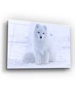 Fluffy Fox Wall Art Covered By Epoxy-OriesWood